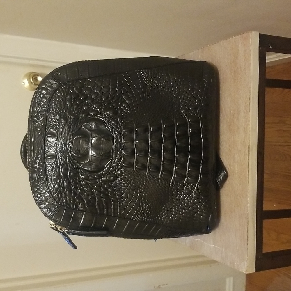 Sought after Brahmin Backpack